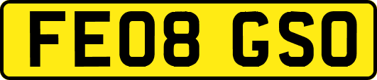 FE08GSO
