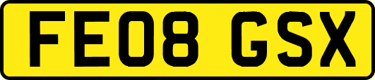 FE08GSX