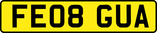 FE08GUA