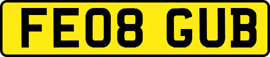 FE08GUB