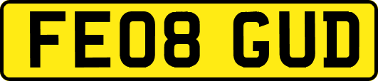 FE08GUD