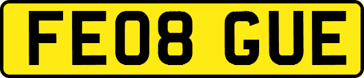 FE08GUE
