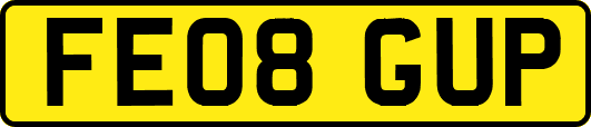FE08GUP