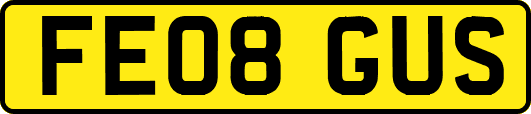 FE08GUS