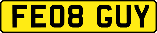FE08GUY