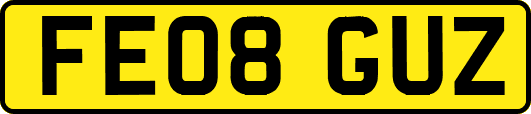 FE08GUZ
