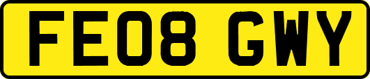 FE08GWY