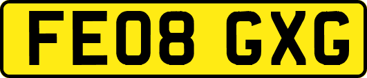 FE08GXG