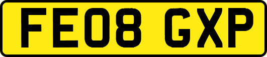 FE08GXP