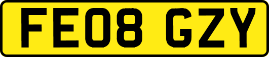 FE08GZY