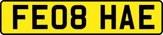 FE08HAE