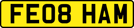 FE08HAM
