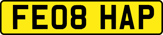 FE08HAP