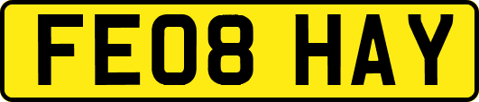 FE08HAY