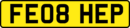FE08HEP