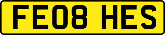 FE08HES