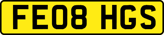 FE08HGS
