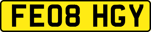 FE08HGY