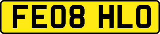 FE08HLO