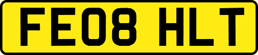 FE08HLT
