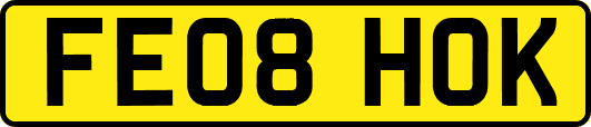 FE08HOK