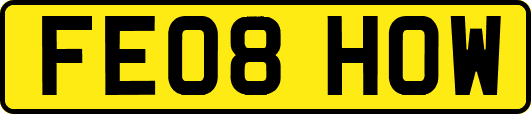 FE08HOW
