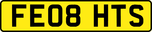 FE08HTS