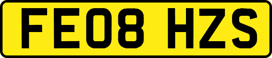 FE08HZS