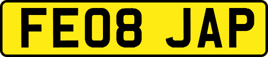 FE08JAP