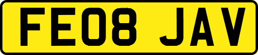 FE08JAV
