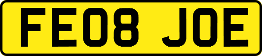 FE08JOE