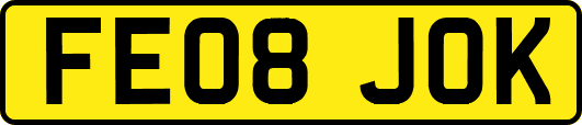 FE08JOK