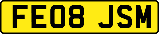 FE08JSM