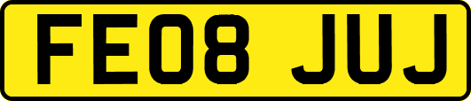 FE08JUJ
