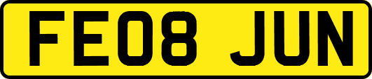 FE08JUN