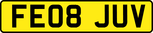 FE08JUV