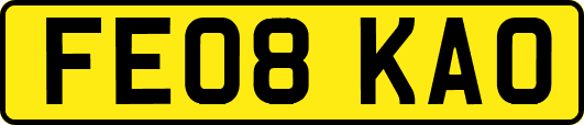 FE08KAO