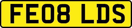 FE08LDS