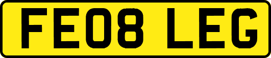 FE08LEG