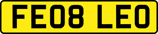 FE08LEO