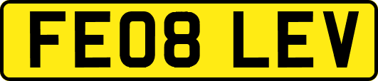 FE08LEV