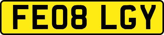 FE08LGY
