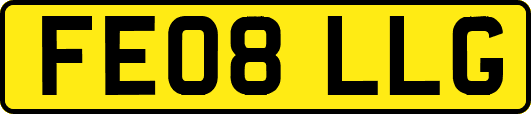 FE08LLG
