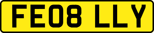 FE08LLY