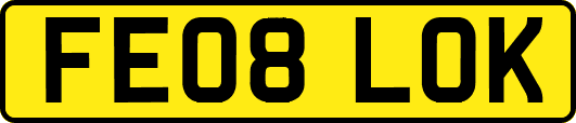 FE08LOK
