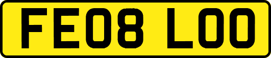 FE08LOO