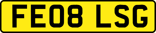 FE08LSG