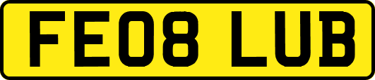 FE08LUB