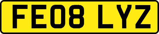 FE08LYZ