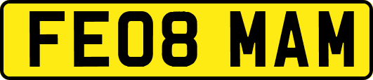 FE08MAM